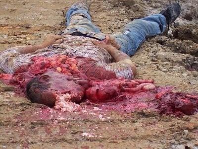 227.jpg