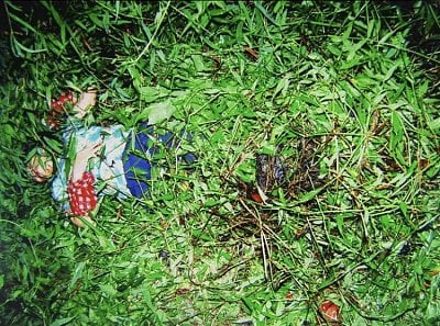 inthegrass.jpg