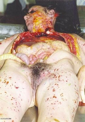 goregasm-dot-com-16.jpg