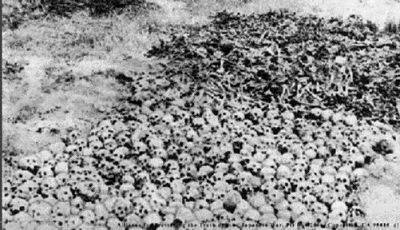 field-skulls-1-.gif