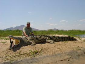crocbait01_small.jpg