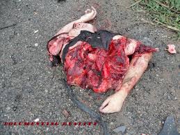 Name:  images%20%2812%29.jpeg
Views: 692
Size:  14.0 KB