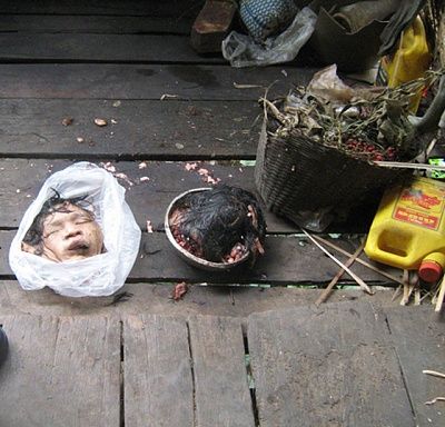 221.jpg