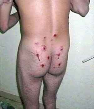abu-ghraib_sbs08a.jpg