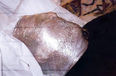 ql8cb1au_8x2.jpg