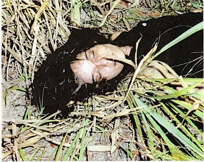 prova-do-soco1.jpg