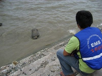 bait1-700-x-525-.jpg
