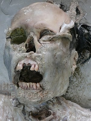 _cc-20copy-202.jpg