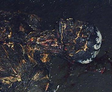 accident_37_03.jpg