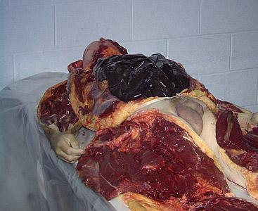 misc_08_01.jpg
