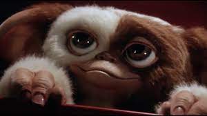 gizmo.jpeg