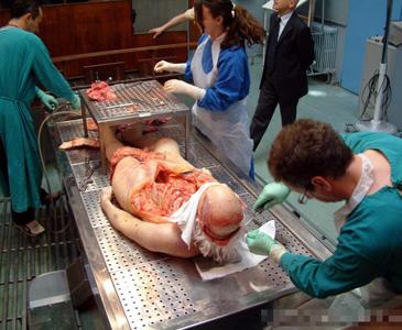 corpses_27_02.jpg