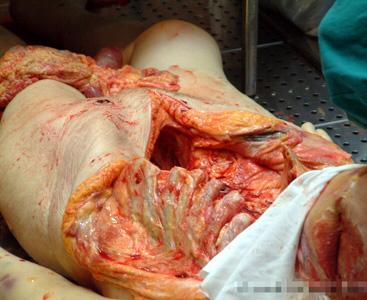 corpses_27_03.jpg