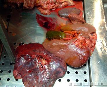 corpses_27_10.jpg