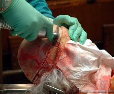 corpses_27_13.jpg
