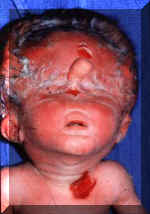 gruesome4.jpg