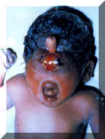 gruesome6.jpg