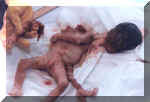 gruesome7.jpg