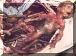 gruesome8.jpg