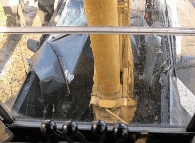 cat3.gif