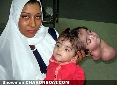 charonboat_dot_com_parasitic_head_1.jpg