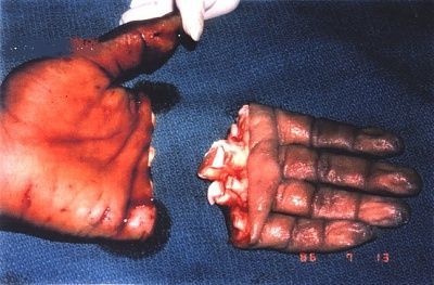 hand0110.jpg