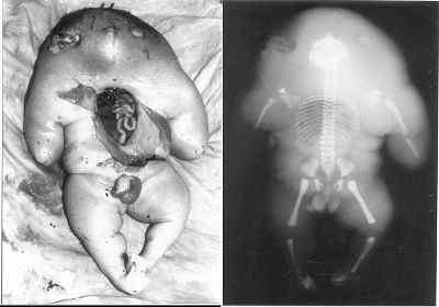 ohbaby57.jpg