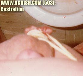 attached-file-6.jpg