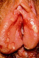 attached-file-31.jpg