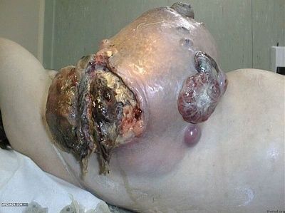 goregasm-dot-com-1.jpg