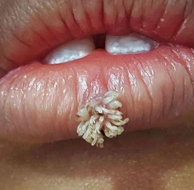 https___scontent.cdninstagram.com_v_t51.29350-15_324699733_558697692970809_3645898071747877820_n.jpg