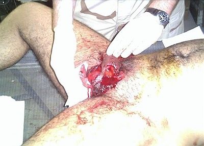 cock1.jpg