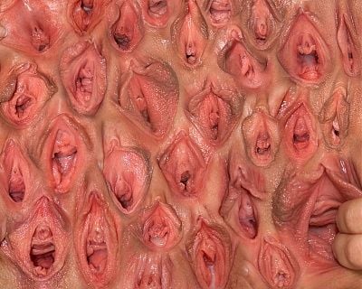 wall_of_vagina.jpg