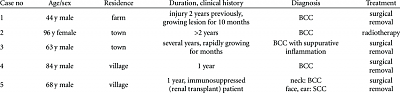 data-neglected-bcc-patients-their-treatment-bcc-basal-cell-carcinoma-scc.png