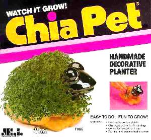 chia-pet-frog.jpg