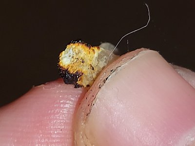 20230610_215605.jpg