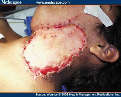 art-w460909.fig3.jpg
