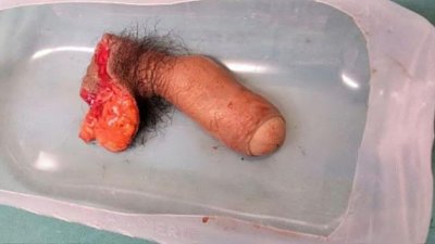 thecock.jpg