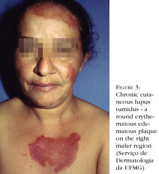en_a02fig03.jpg