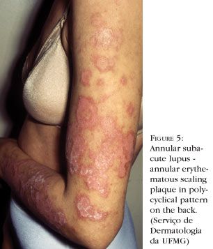 en_a02fig05.jpg