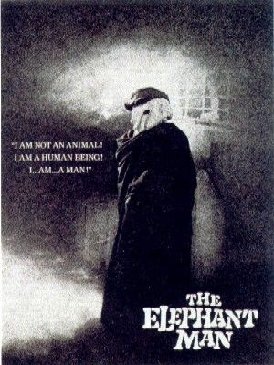 elepha13.jpg