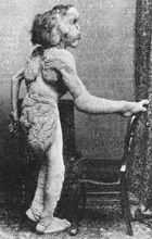 elepha14.jpg
