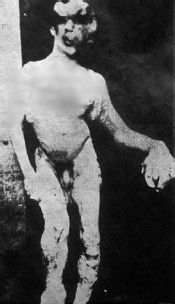 elepha15.jpg