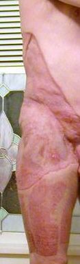 dan_image8_trimmed.jpg