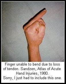 rofl2.jpg