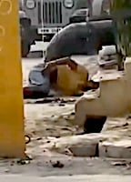 Name:  Dive-fail2.jpeg
Views: 101
Size:  7.6 KB