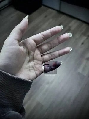 r1.jpg