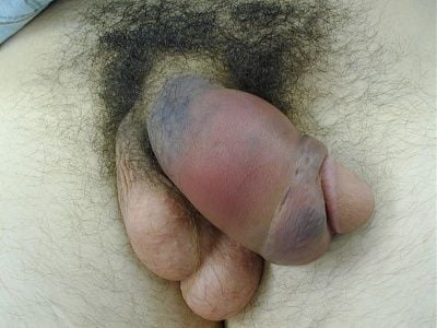 435575-456305-5392.jpg