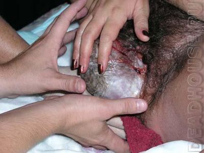 misc_15_07.jpg