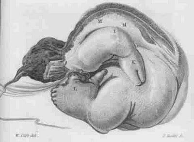 image6.jpg